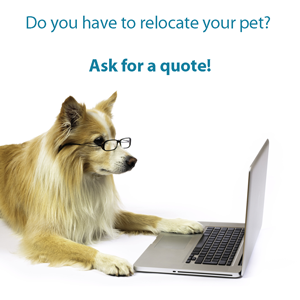Ask for a quote