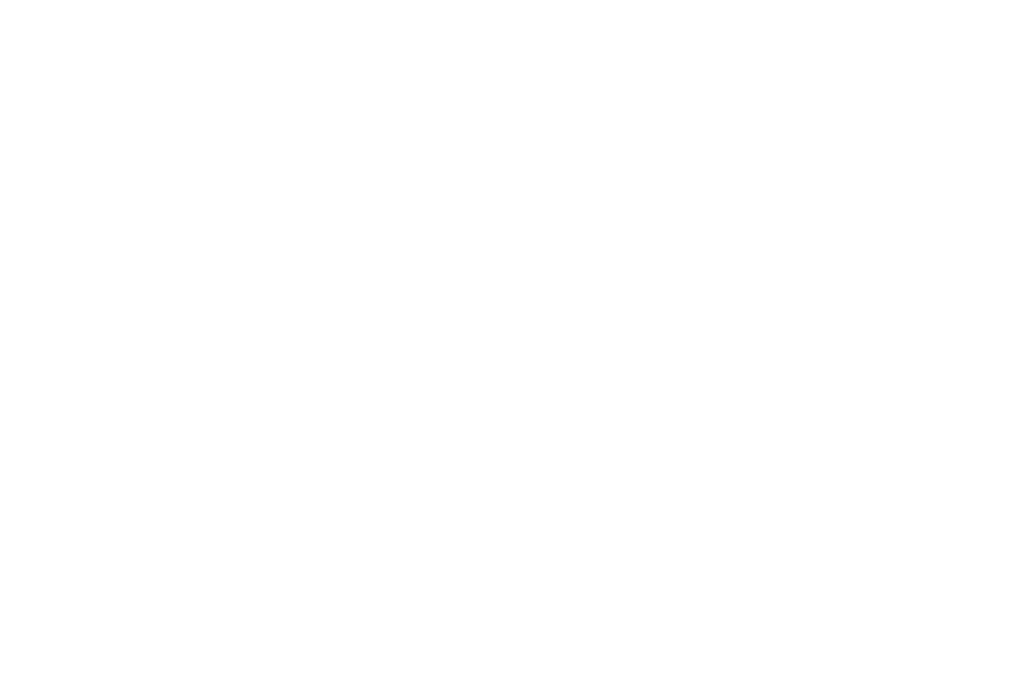 Level-Logo